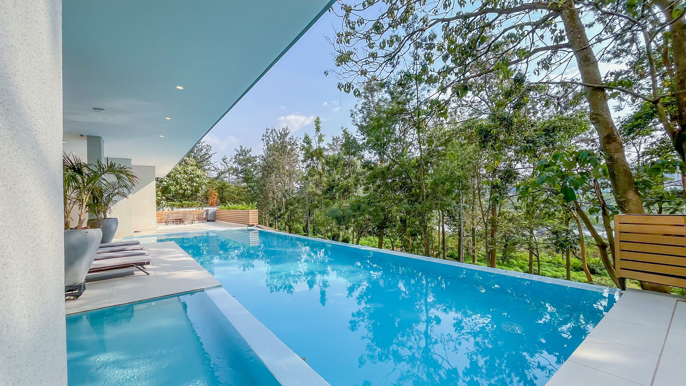 Ohana Residence — infinity pool overlooking the trees